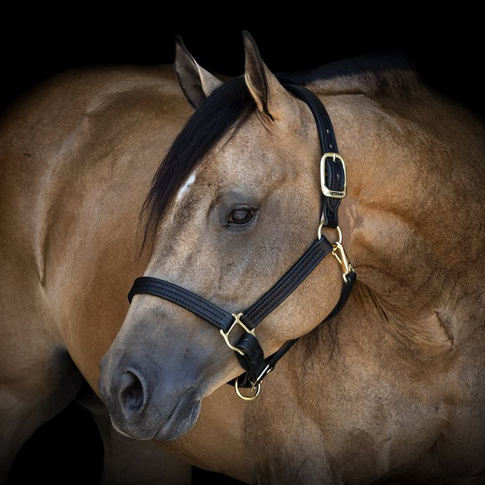 Halters