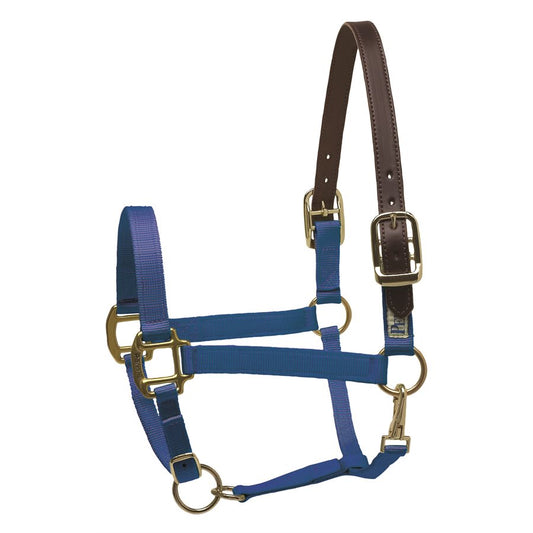 Safety Halter