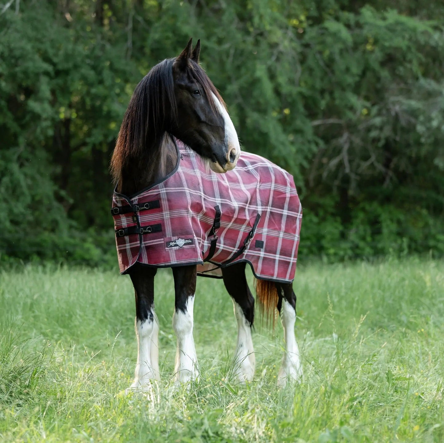 Draft Horse Protective Fly Sheet  - 73% UV Protection