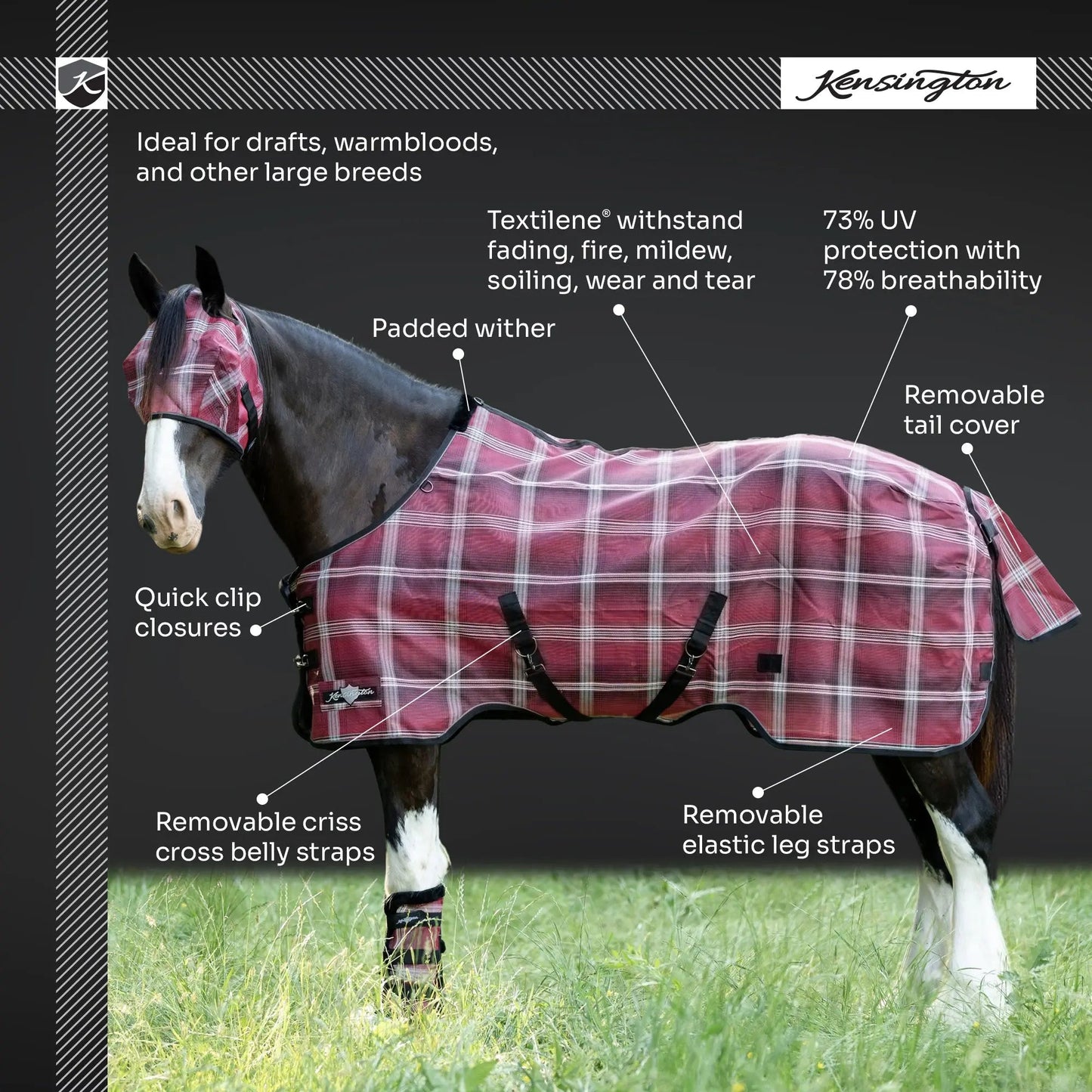 Draft Horse Protective Fly Sheet  - 73% UV Protection