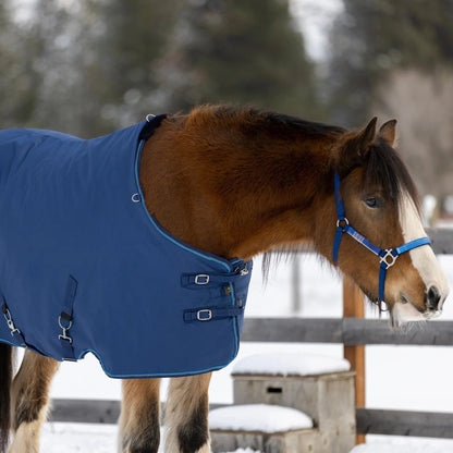 Draft Horse Midweight 180g Winter Turnout Blanket - Waterproof & Breathable