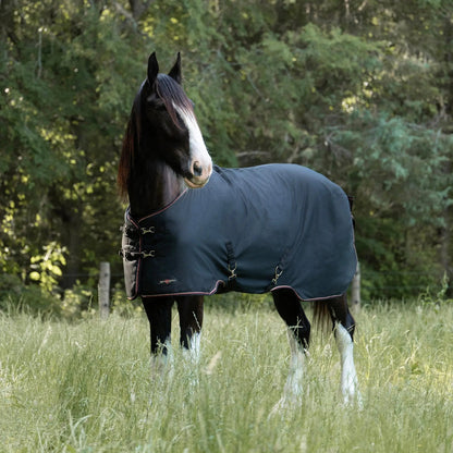 Draft Horse Lightweight 80g Winter Turnout Blanket - Waterproof & Breathable