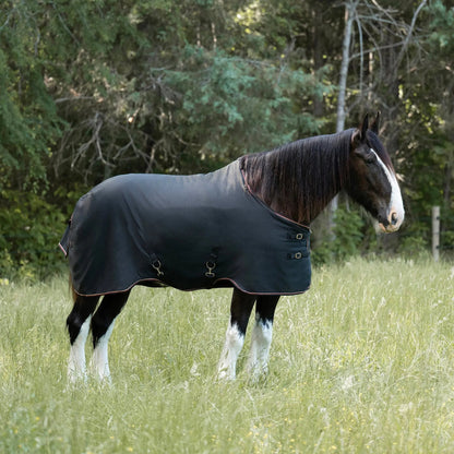 Draft Horse Midweight 180g Winter Turnout Blanket - Waterproof & Breathable
