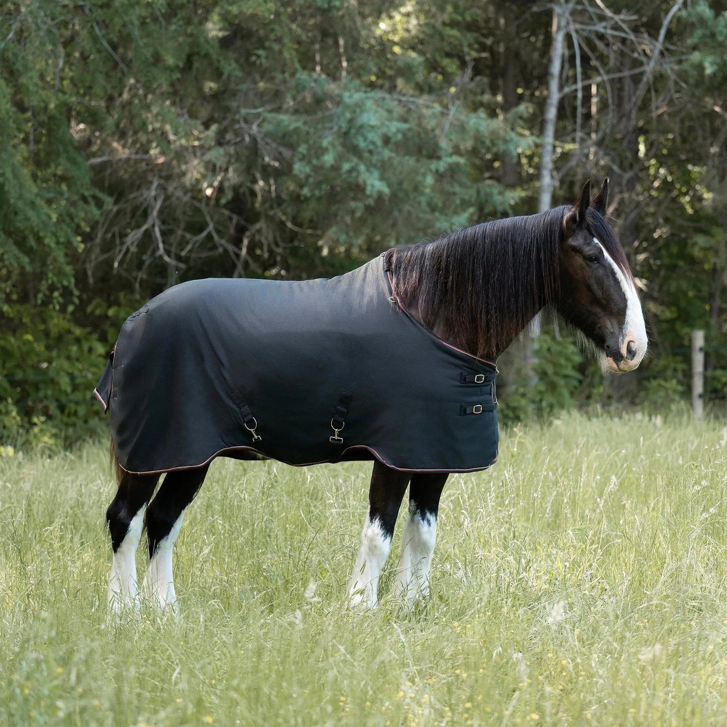 Draft Horse Lightweight 80g Winter Turnout Blanket - Waterproof & Breathable