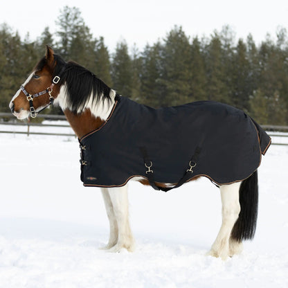 Draft Horse Midweight 180g Winter Turnout Blanket - Waterproof & Breathable