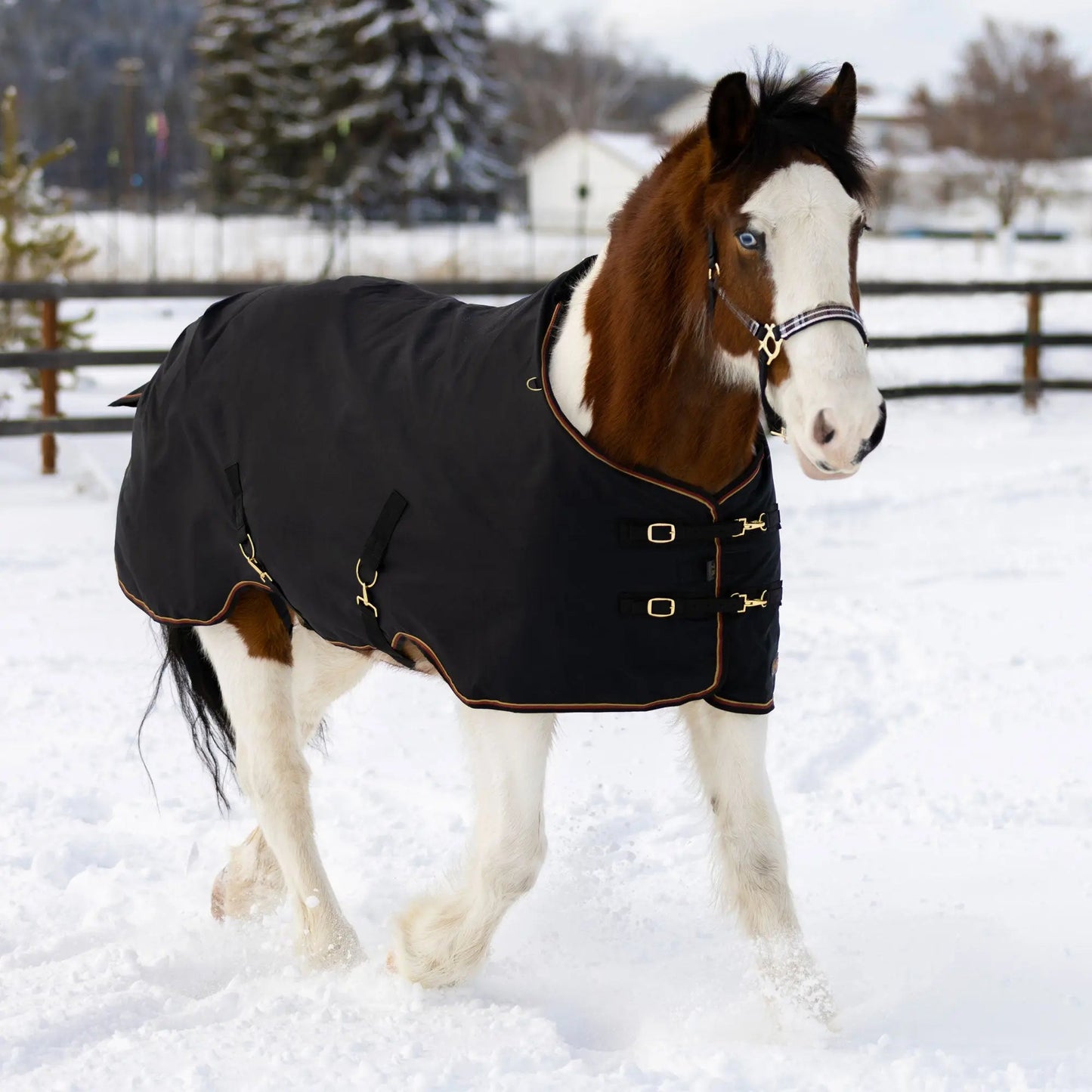 Draft Horse Midweight 180g Winter Turnout Blanket - Waterproof & Breathable