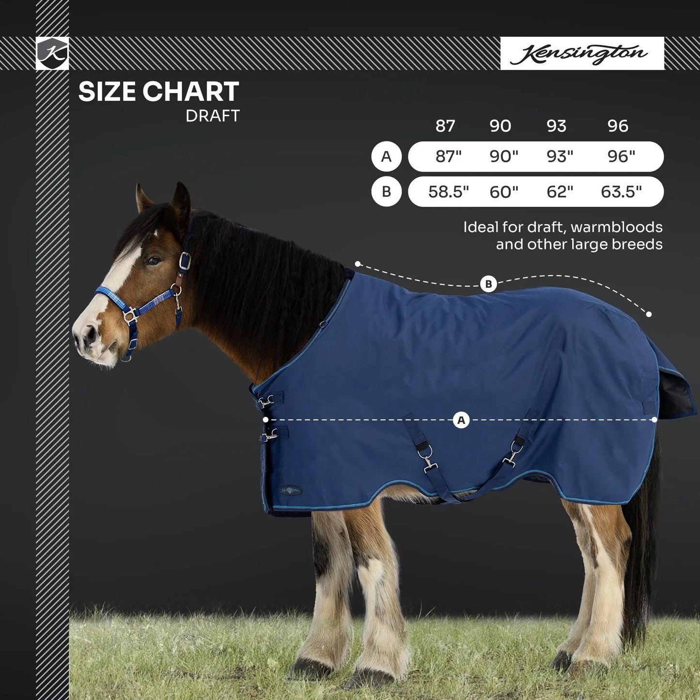Draft Horse Lightweight 80g Winter Turnout Blanket - Waterproof & Breathable