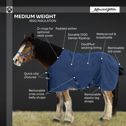 Draft Horse Midweight 180g Winter Turnout Blanket - Waterproof & Breathable