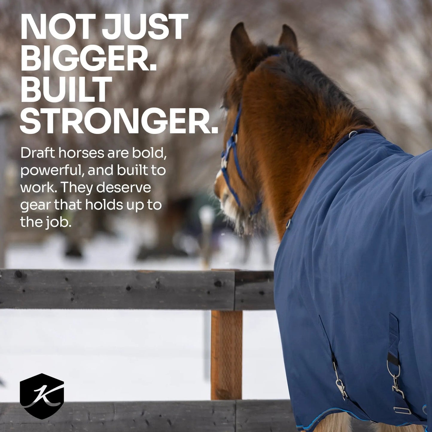 Draft Horse Lightweight 80g Winter Turnout Blanket - Waterproof & Breathable