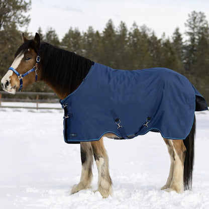 Draft Horse Midweight 180g Winter Turnout Blanket - Waterproof & Breathable