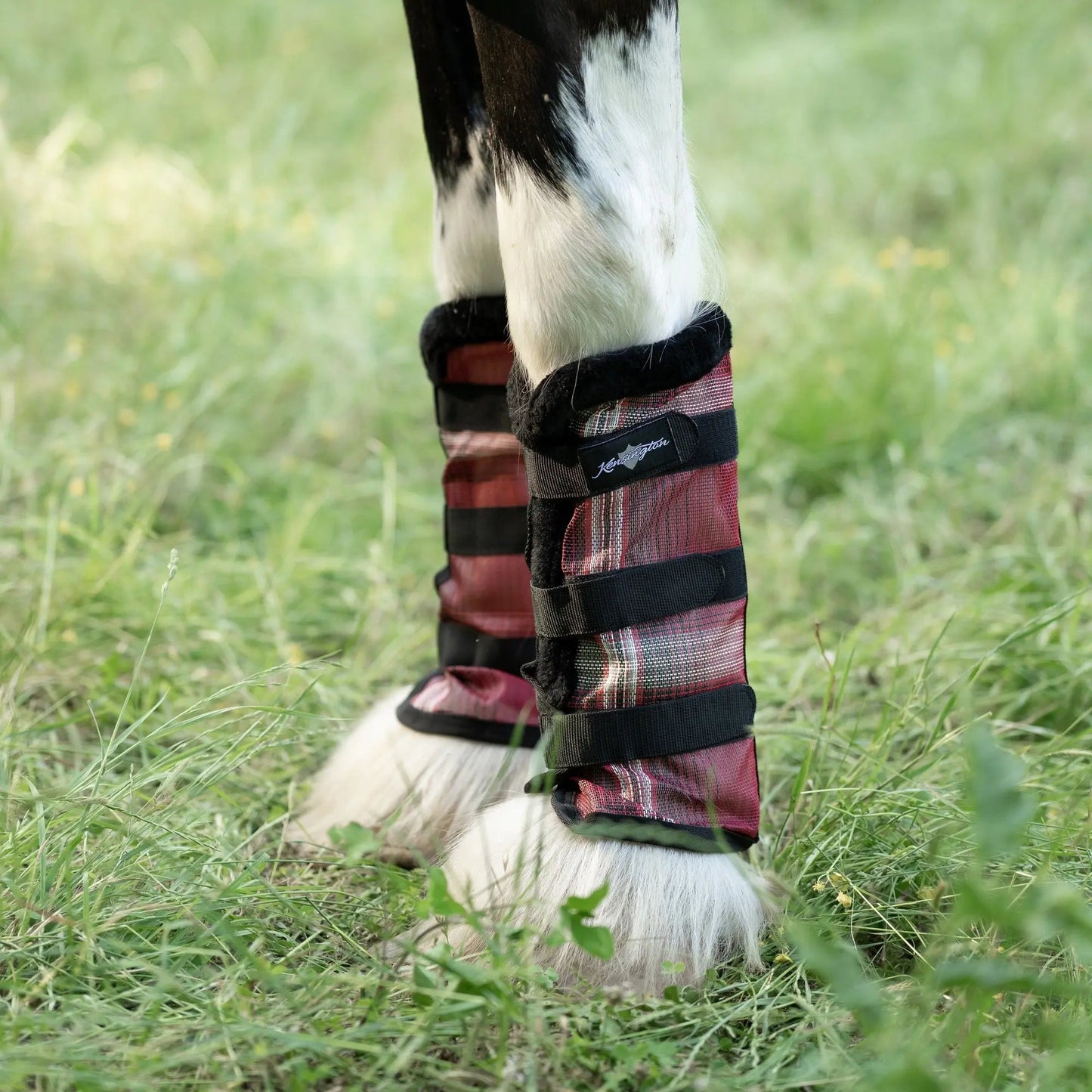Draft Fly Boots with Fleece Trim - Set of 2 - 73% UV + Fly Protection