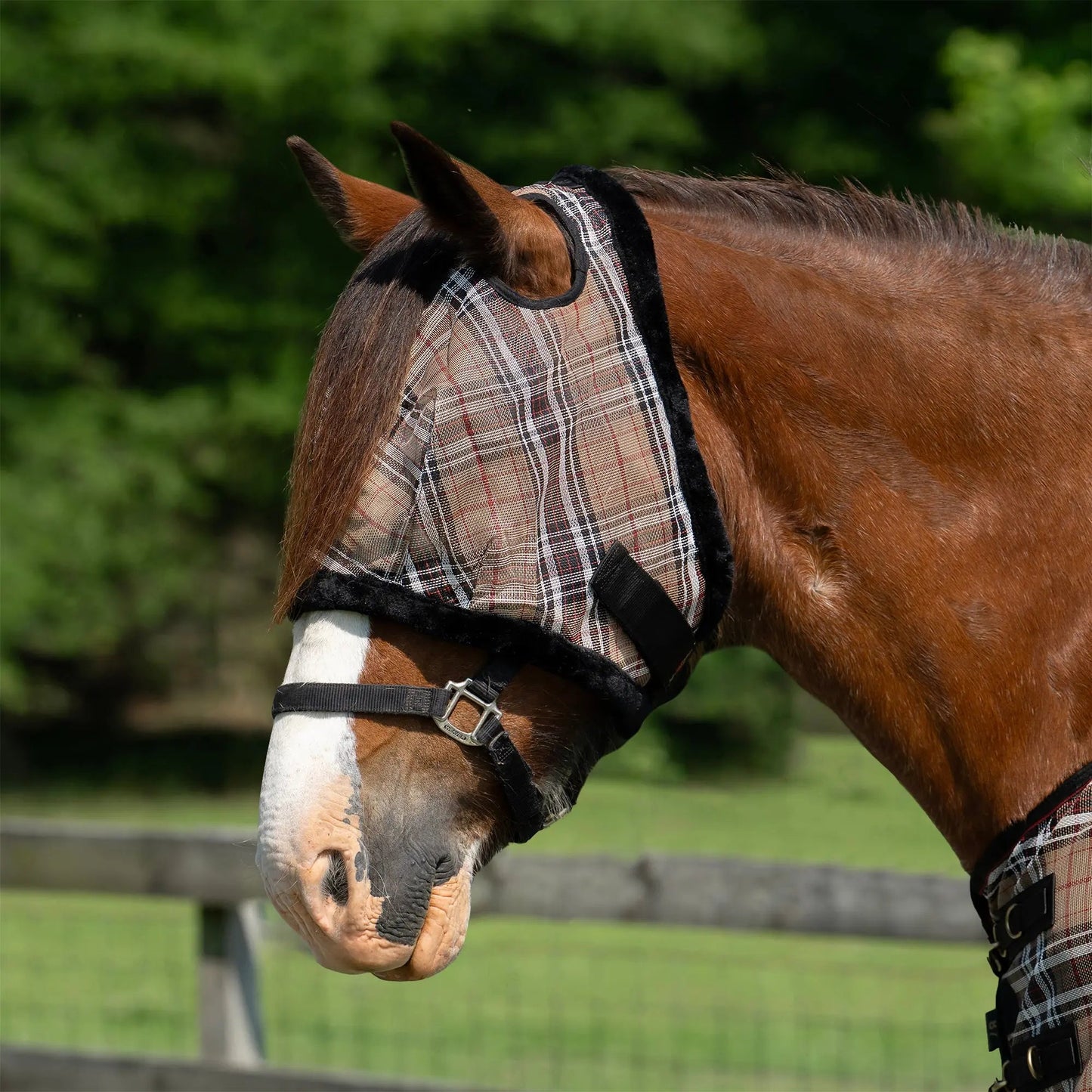 Draft Horse Fly Mask with Fleece Trim & 73% UV Protection