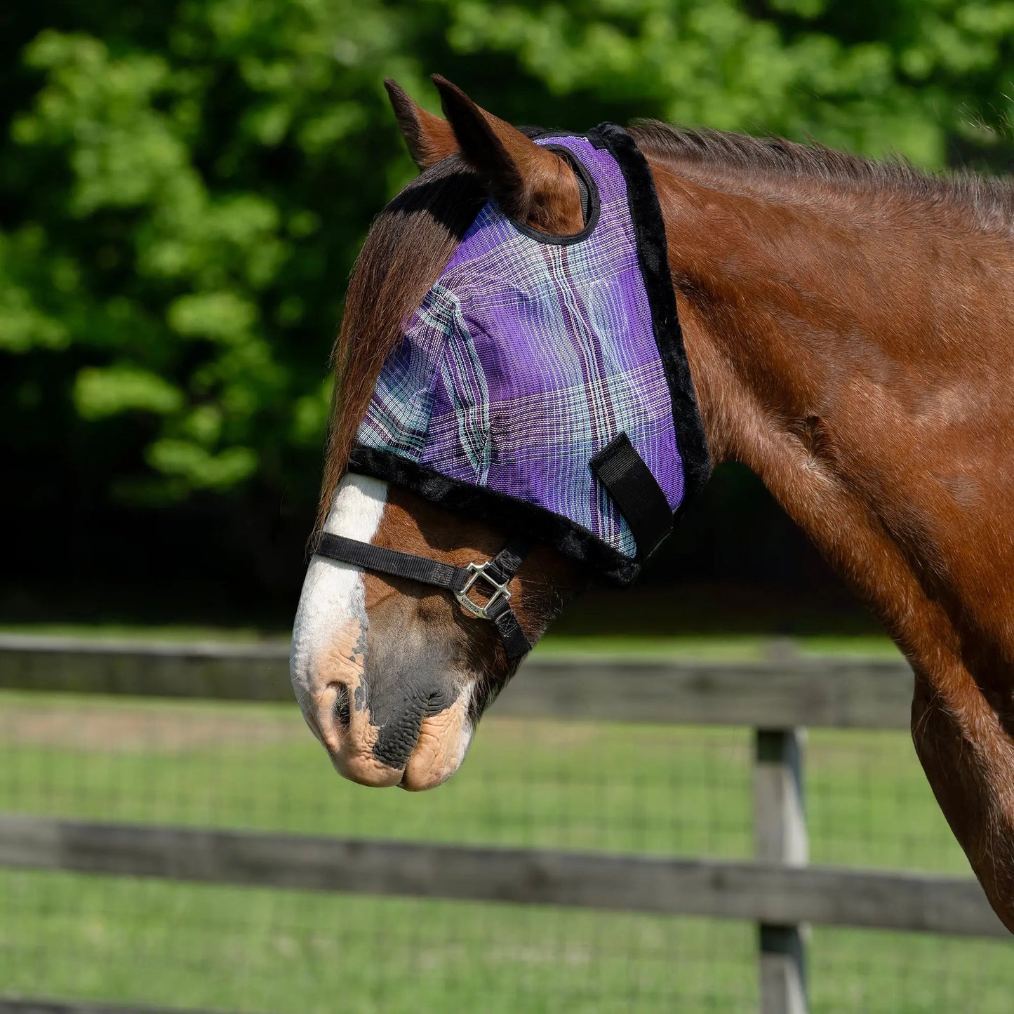 Draft Horse Fly Mask with Fleece Trim & 73% UV Protection