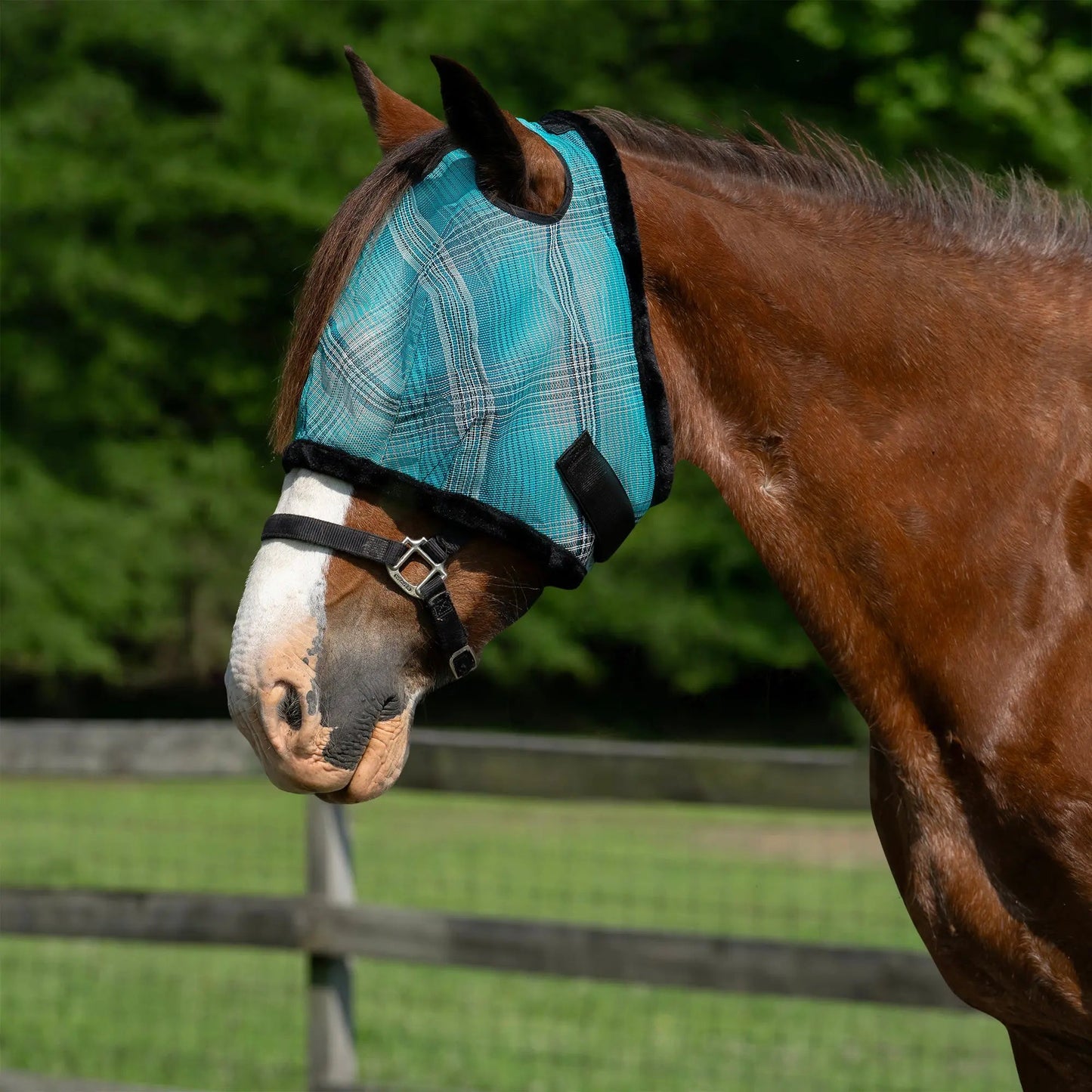 Draft Horse Fly Mask with Fleece Trim & 73% UV Protection
