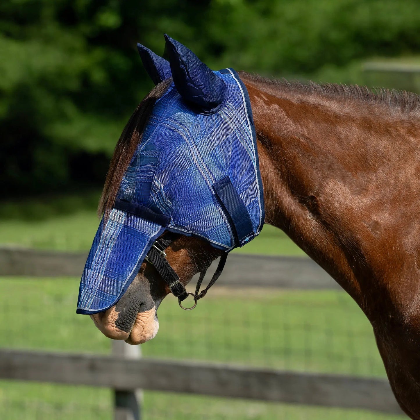 Draft Horse Fly Mask with Long Nose, Ears & 73% UV Protection