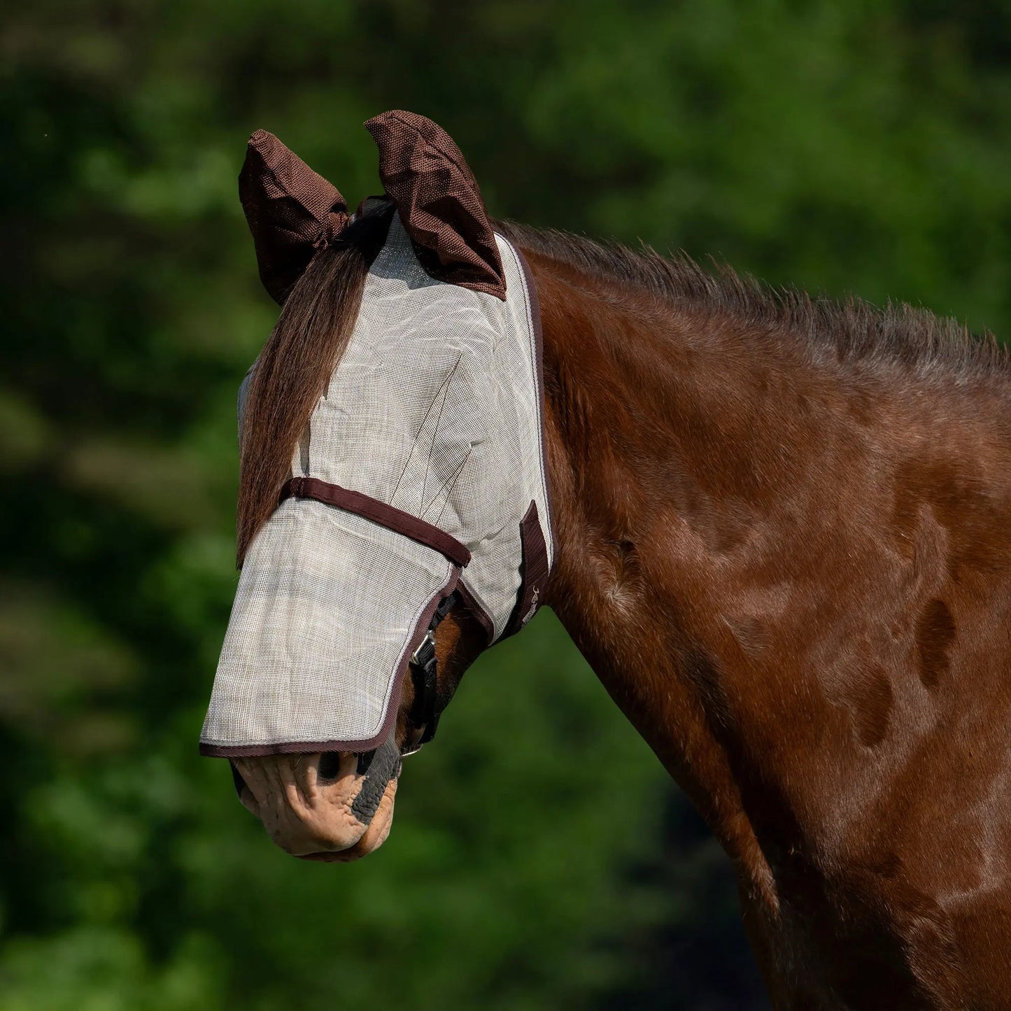Draft Horse Fly Mask with Long Nose, Ears & 73% UV Protection