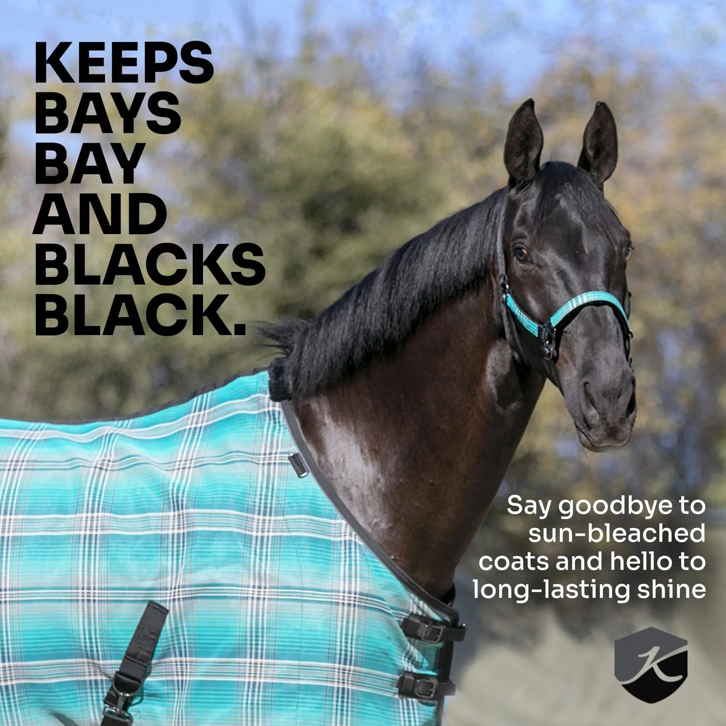 Draft Horse Protective Fly Sheet  - 73% UV Protection