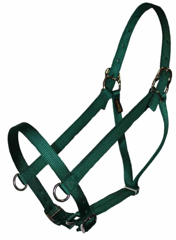 Parker Adjustable with D-rings, no snap
