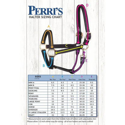 Leather Turnout Halter - Havana