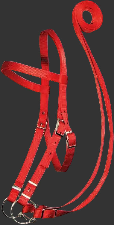 Bridle with conway buckles and reins